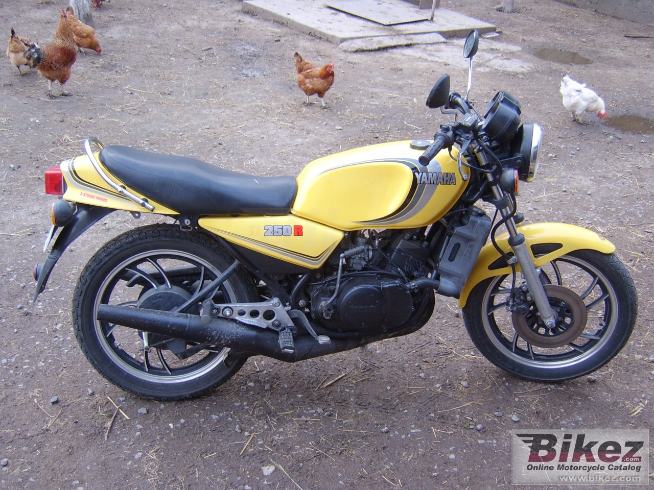 Big nymous user. rd 250 lc picture and wallpaper from Bikez.com